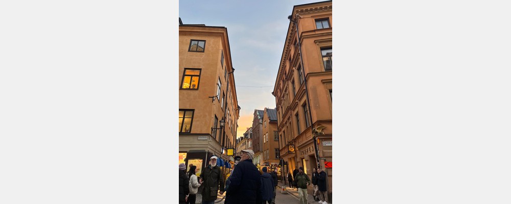 Image from Stockholm School of Economics