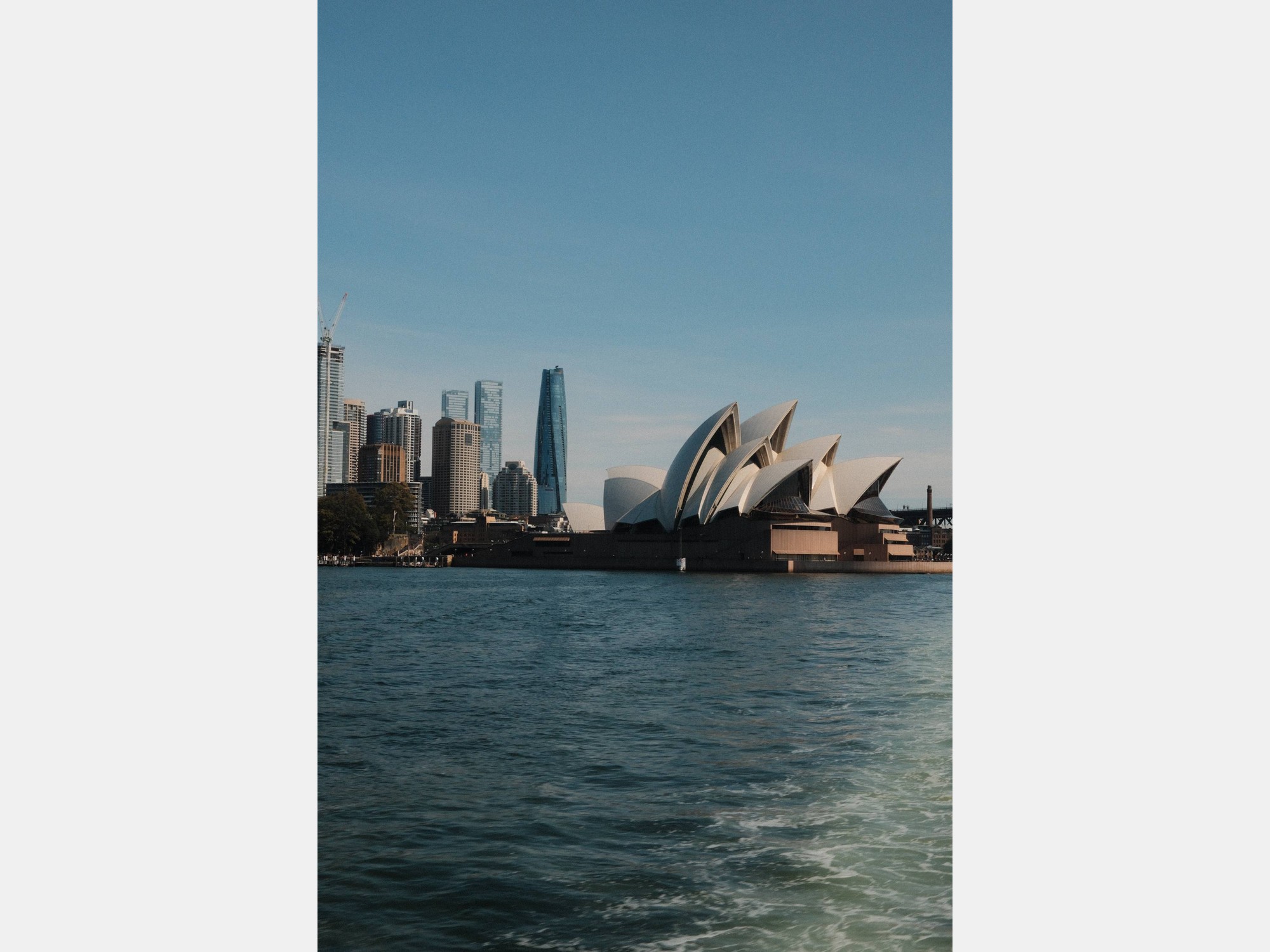 Image from The University of New South Wales