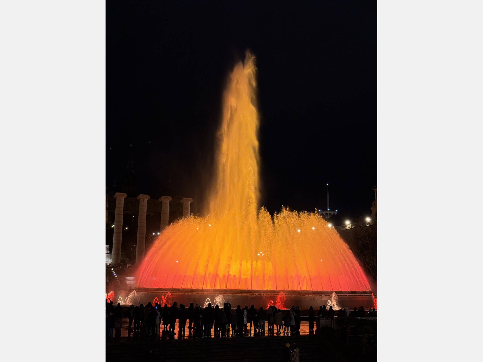 Image from Universitat Autònoma de Barcelona