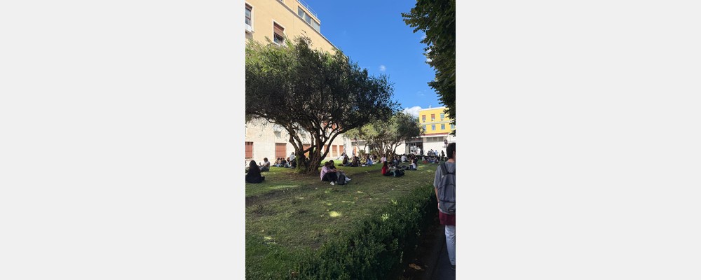 Image from Università degli Studi di Roma "La Sapienza"