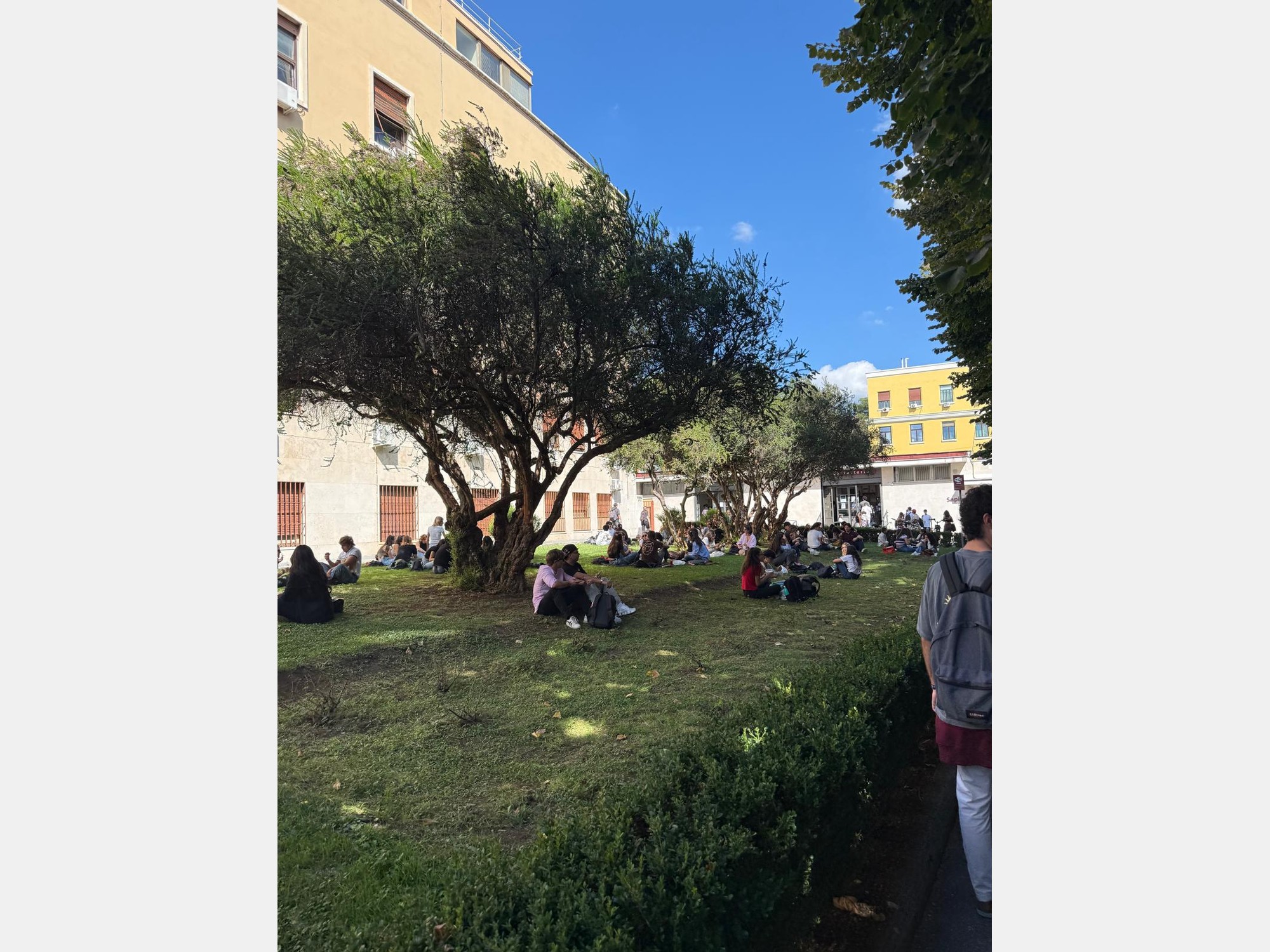 Image from Università degli Studi di Roma "La Sapienza"
