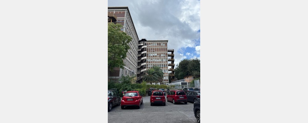 Image from Università degli Studi di Roma "La Sapienza"