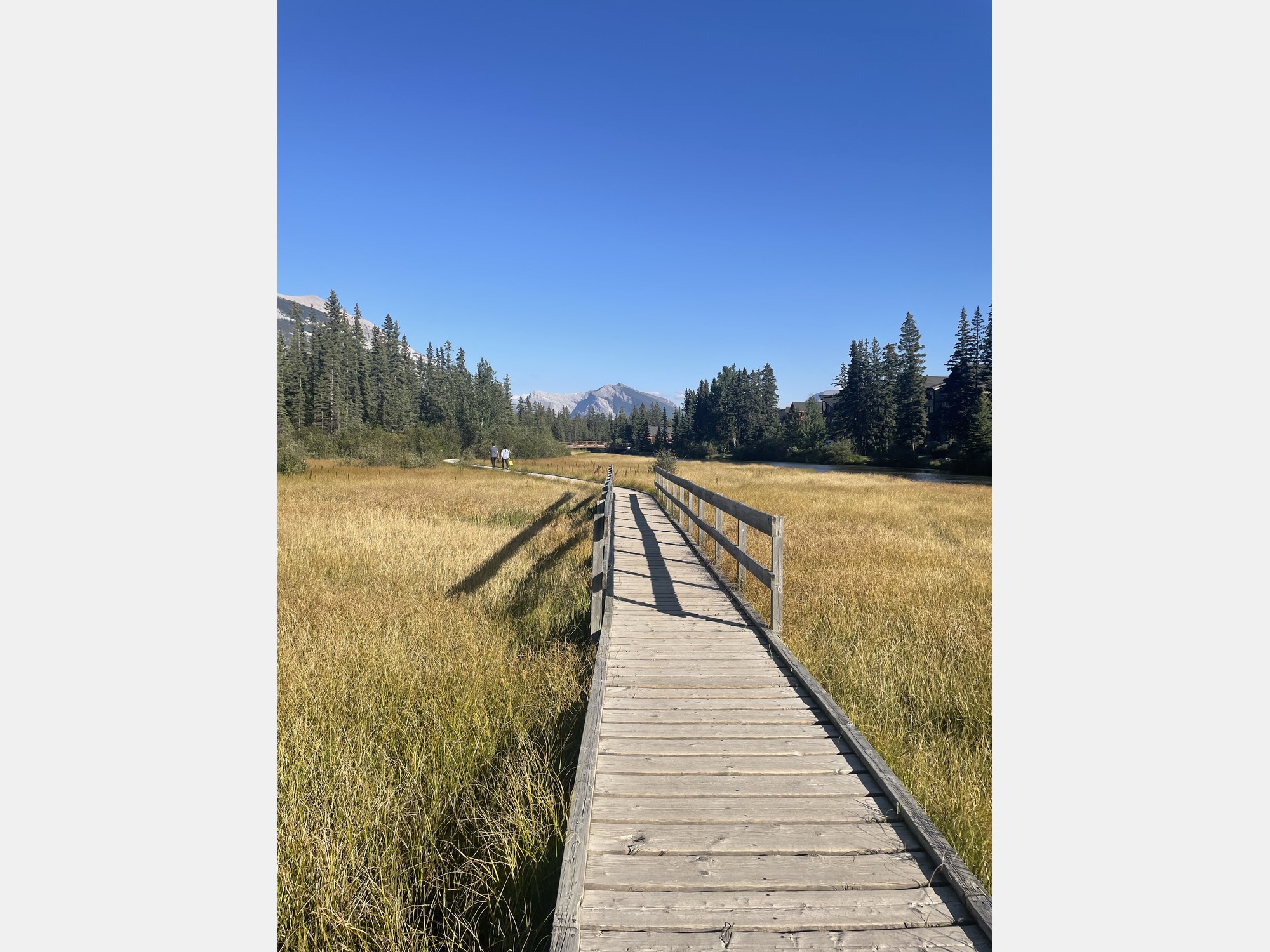 Image from The University of British Columbia