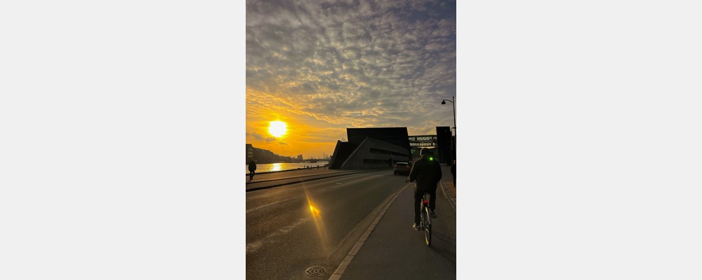 Image from Copenhagen Business School