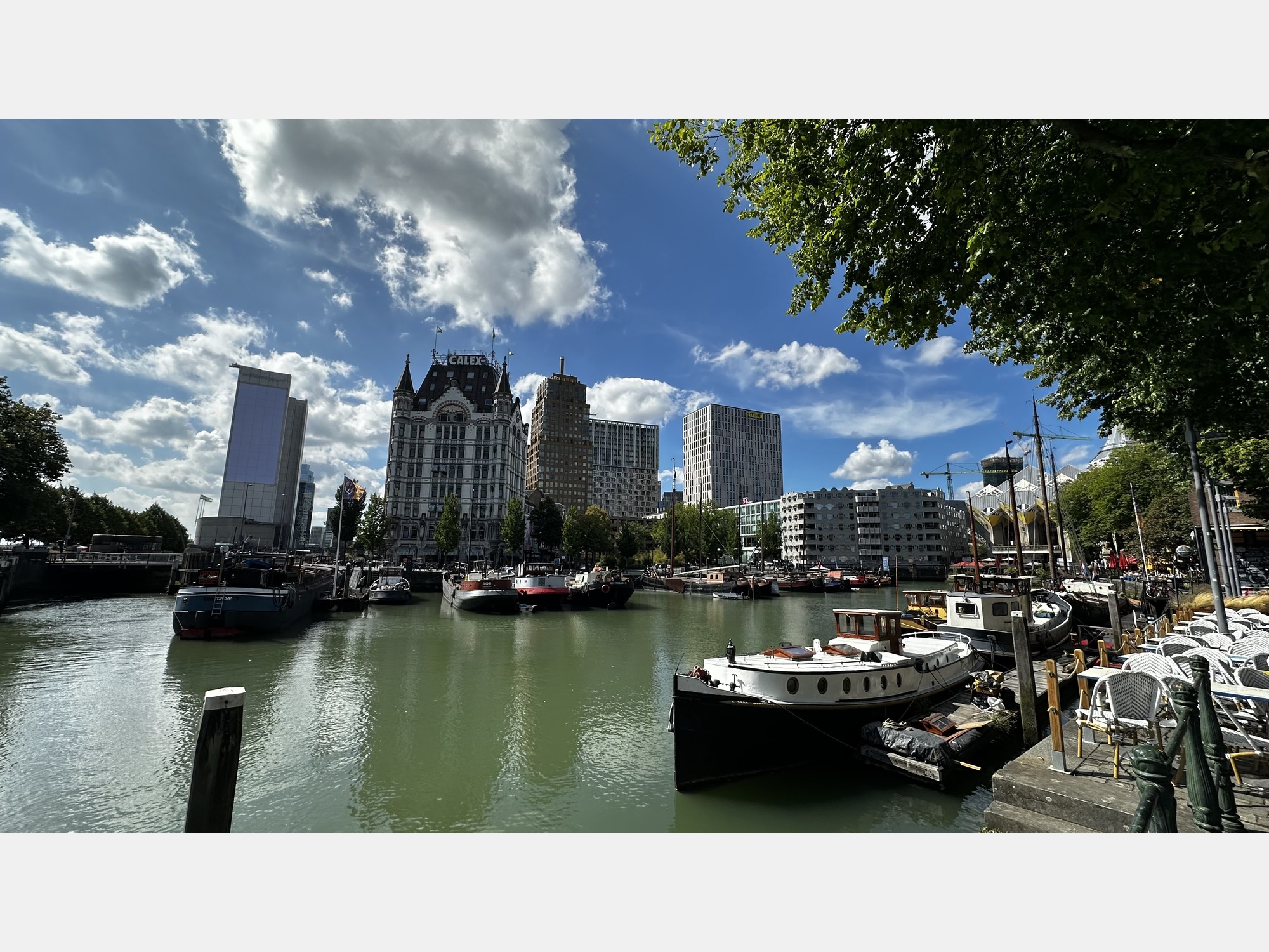 Image from Erasmus University Rotterdam