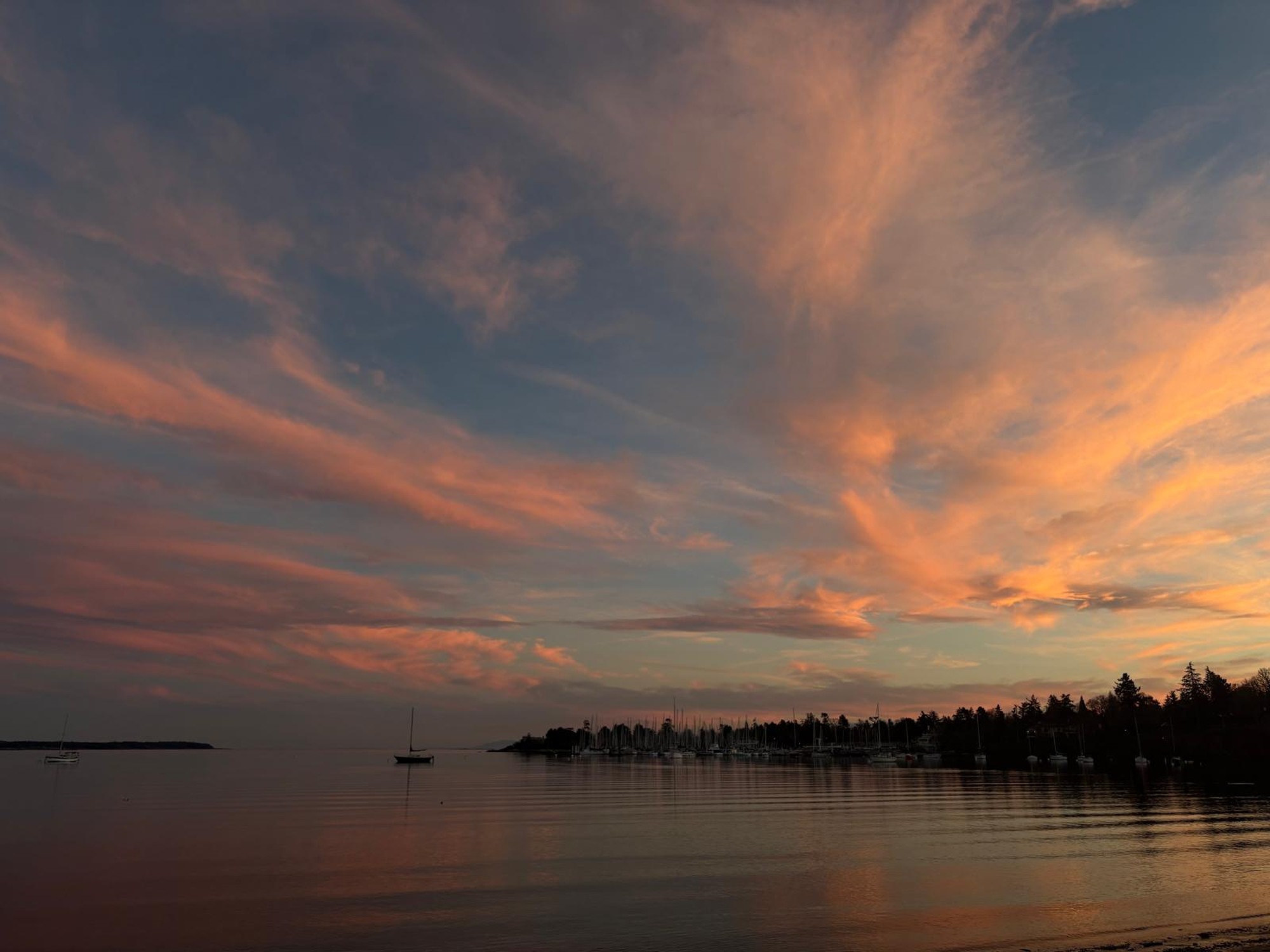 Image from University of Victoria
