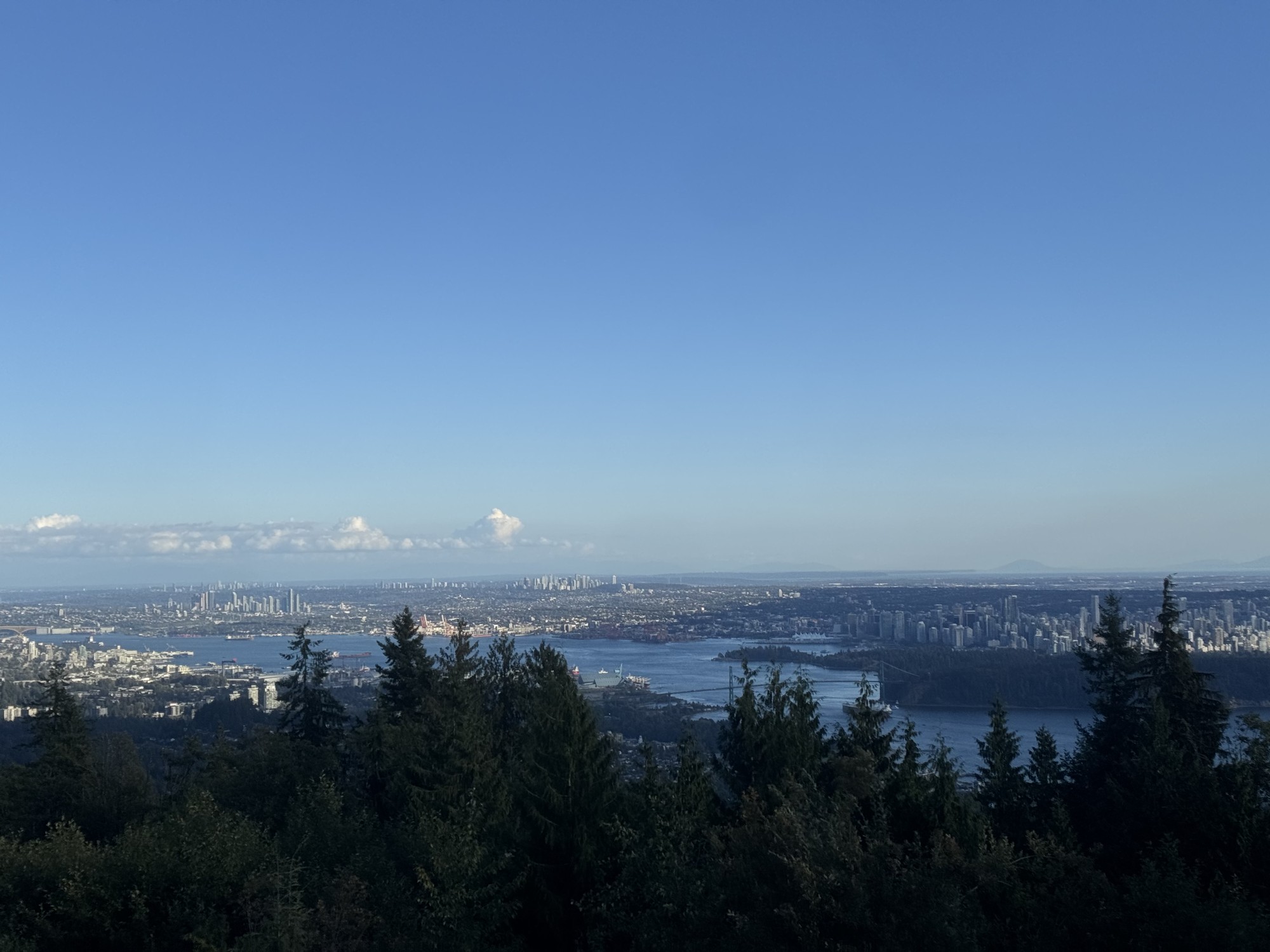 Image from Simon Fraser University
