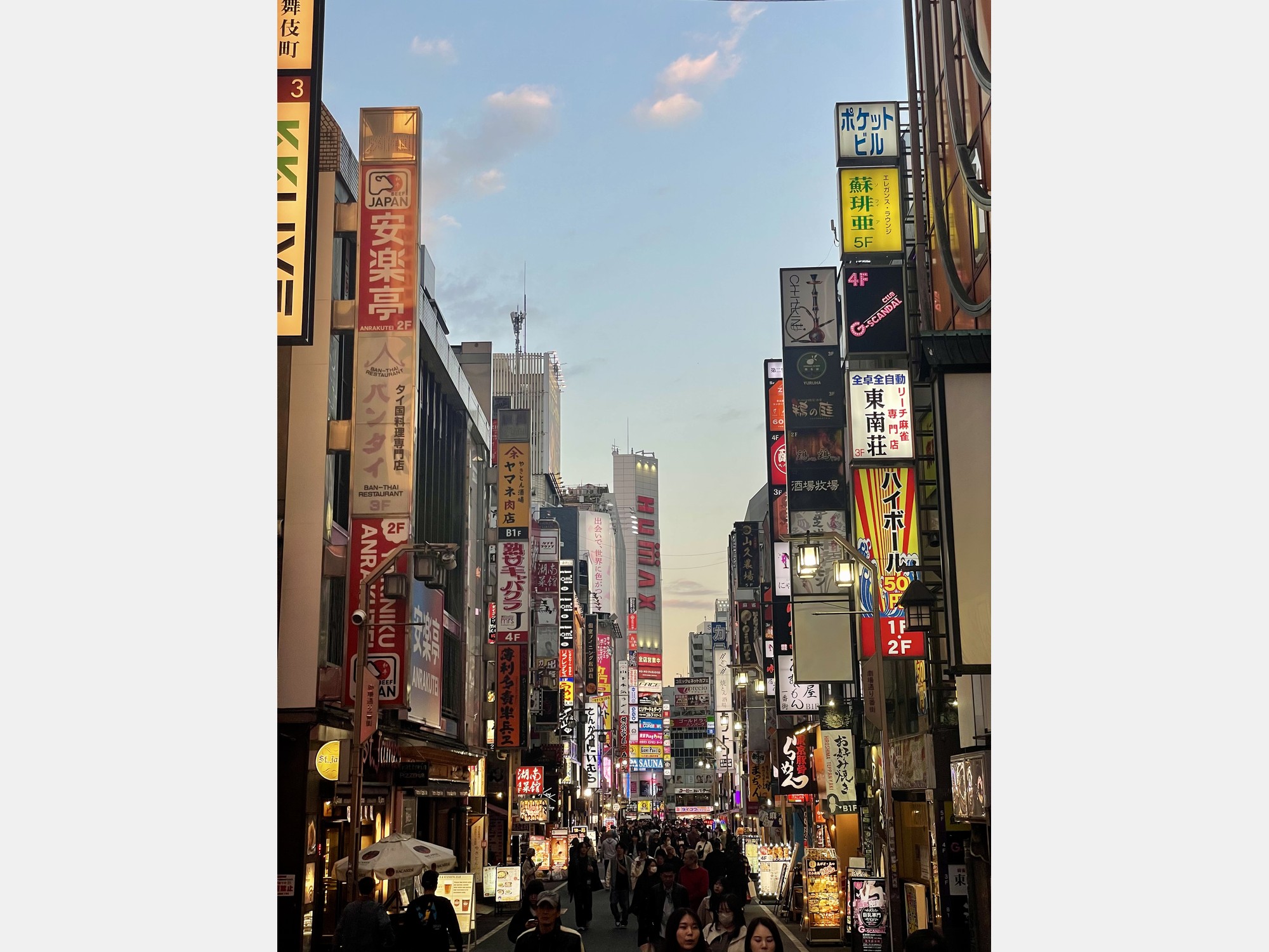 Image from Kobe University
