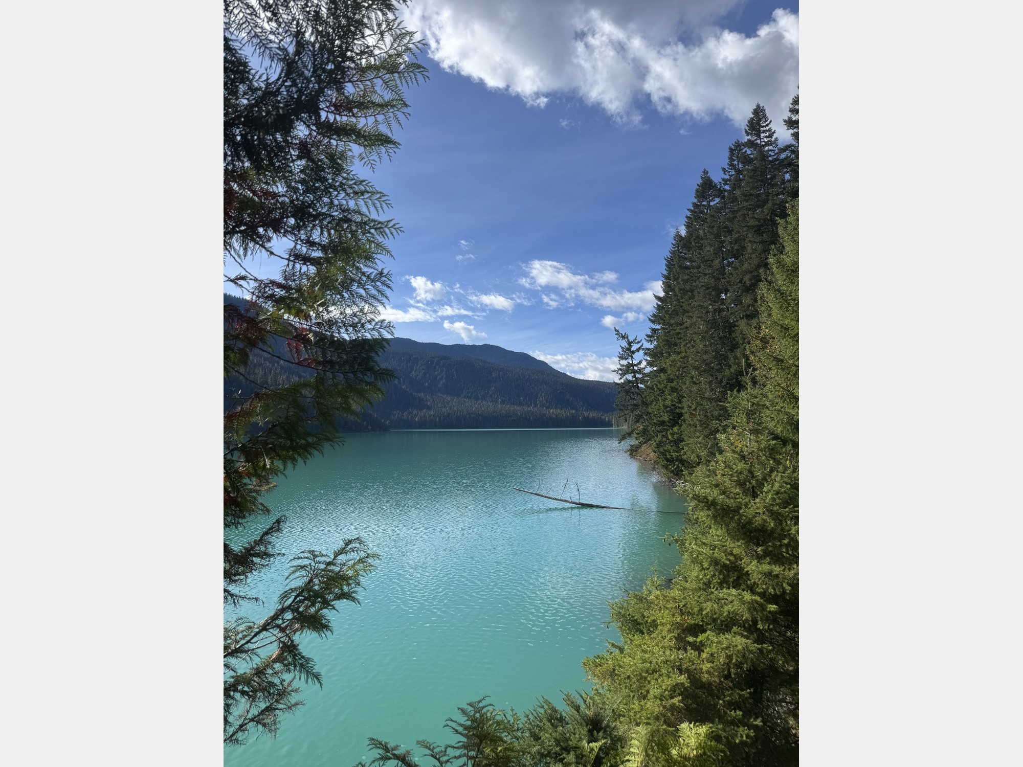 Image from Simon Fraser University