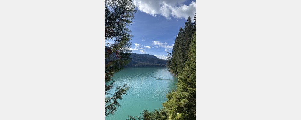 Image from Simon Fraser University