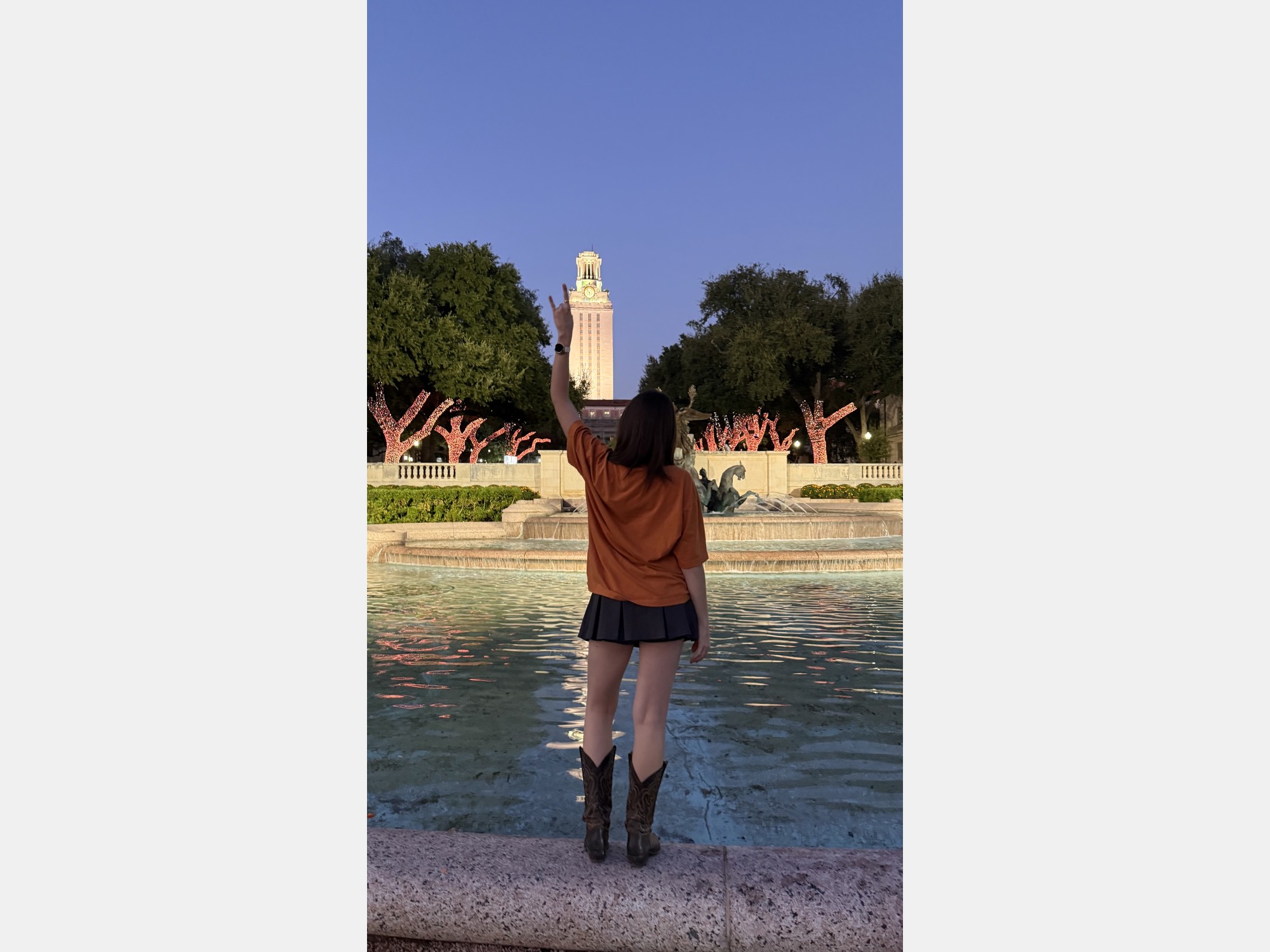 Image from The University of Texas at Austin