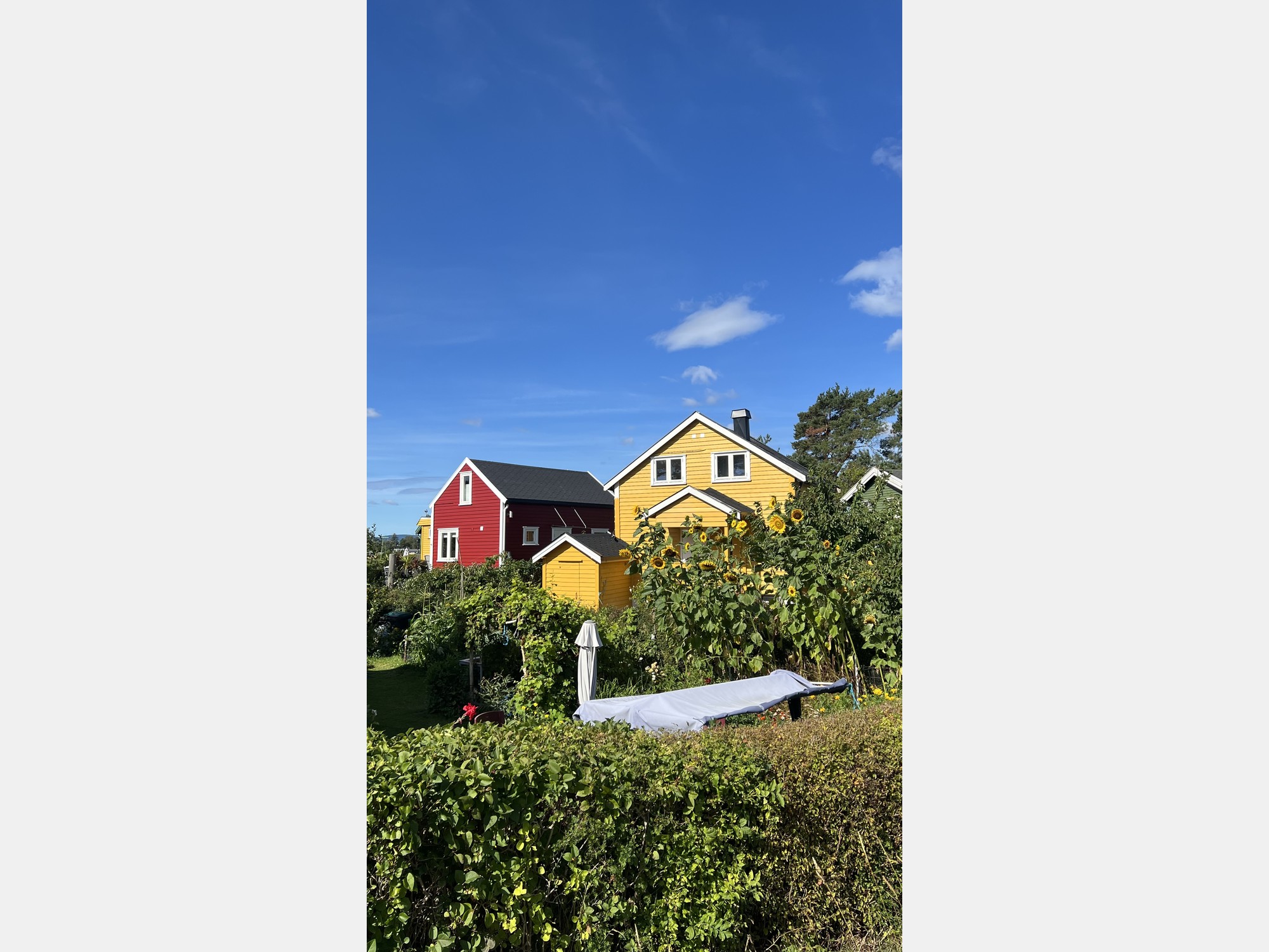 Image from BI Norwegian Business School
