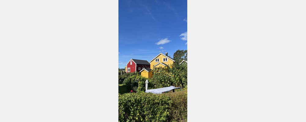 Image from BI Norwegian Business School