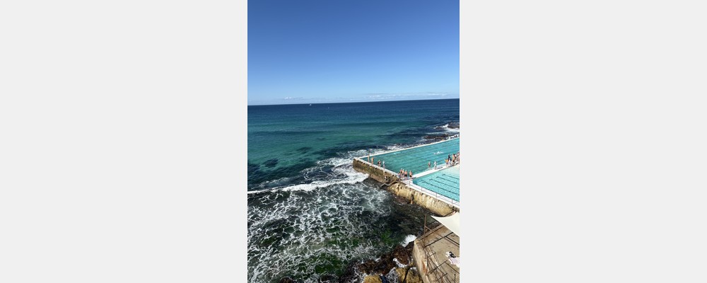 Image from University of Technology Sydney