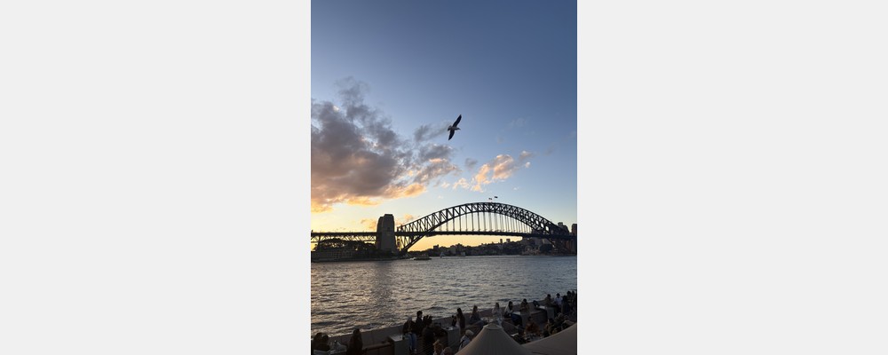 Image from University of Technology Sydney