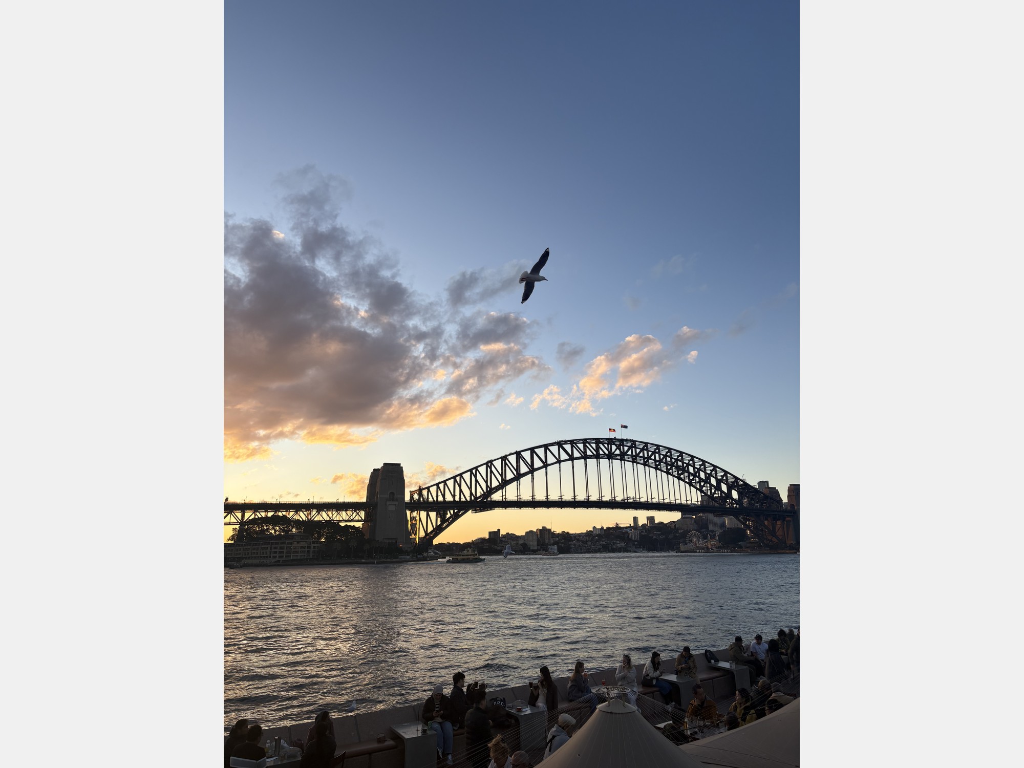 Image from University of Technology Sydney