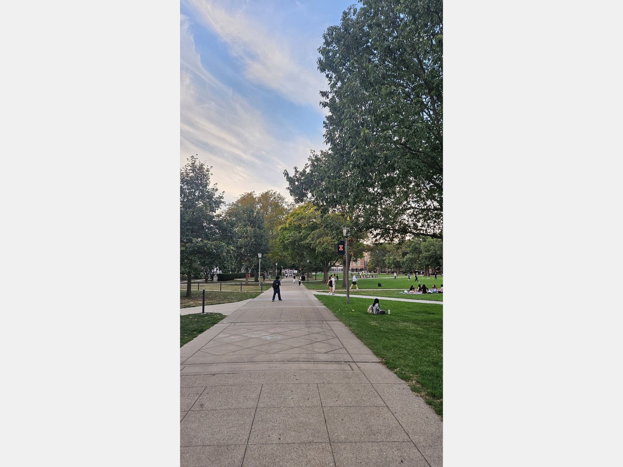 Image from The University of Illinois at Urbana-Champaign