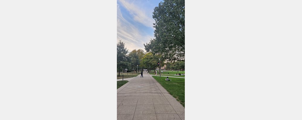 Image from The University of Illinois at Urbana-Champaign