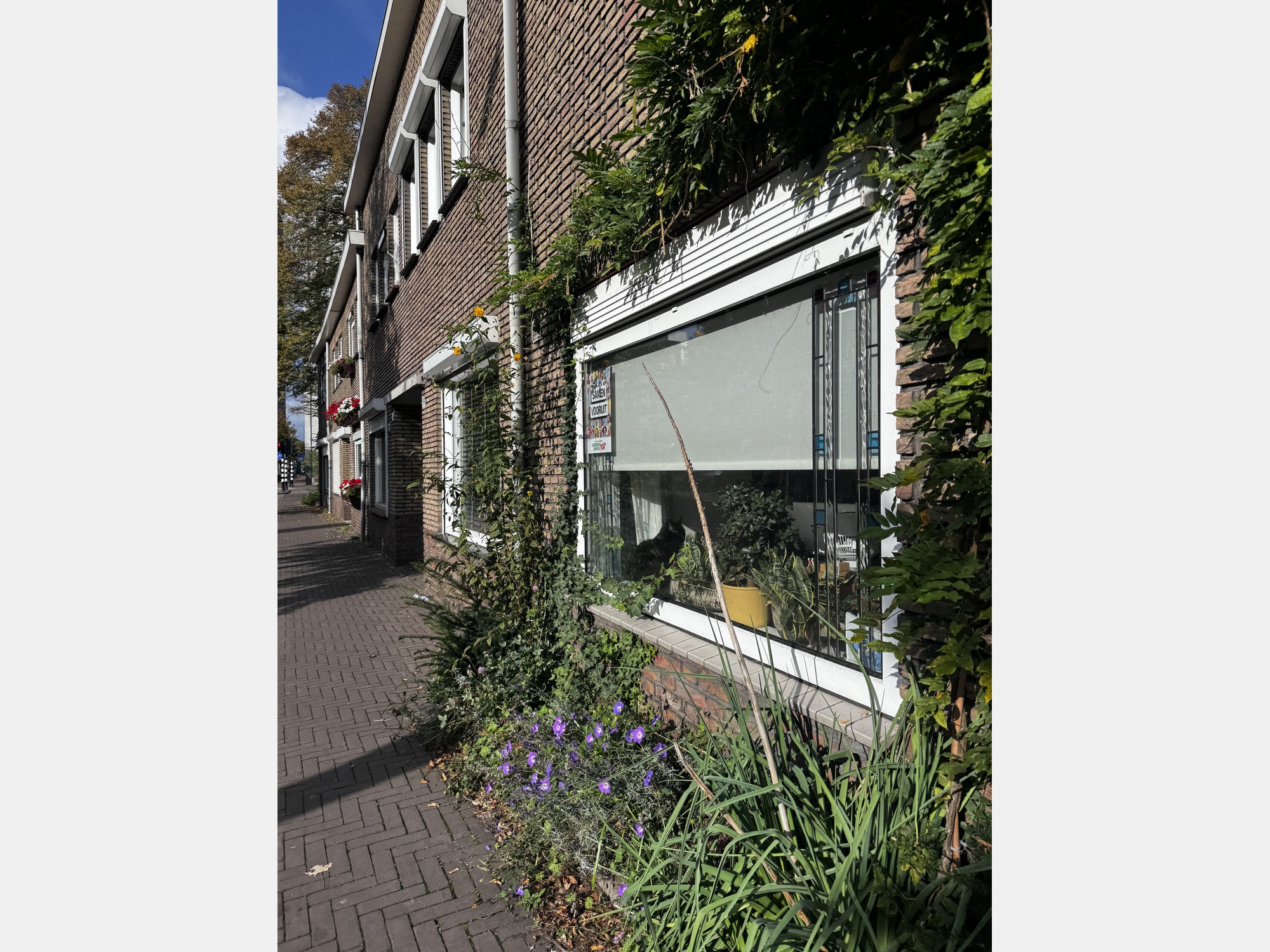 Image from Tilburg University