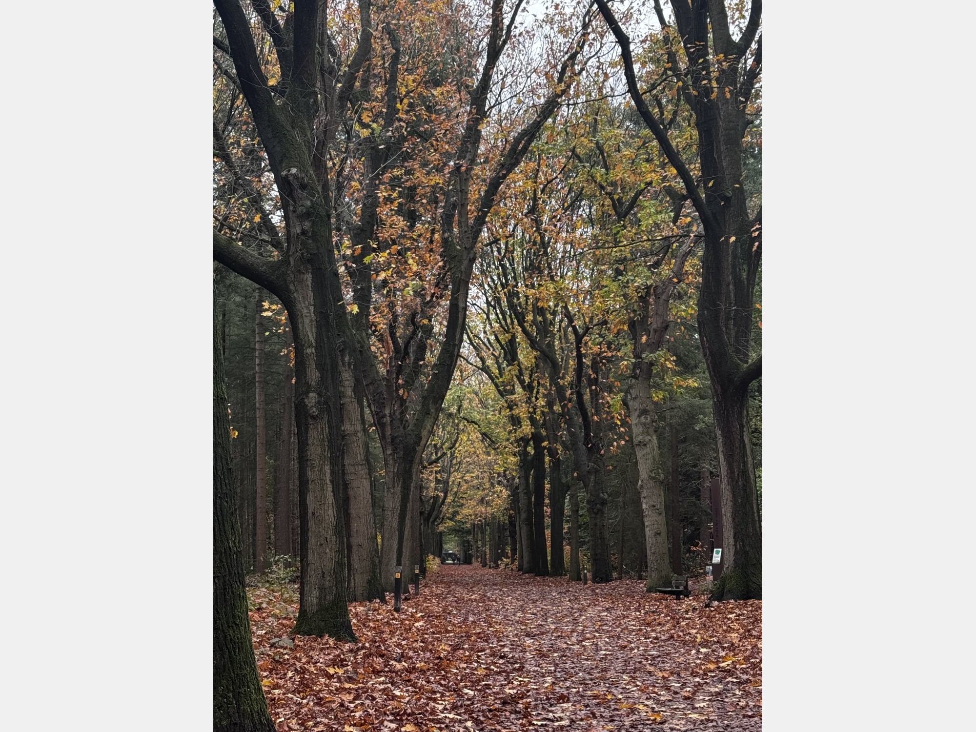 Image from Tilburg University