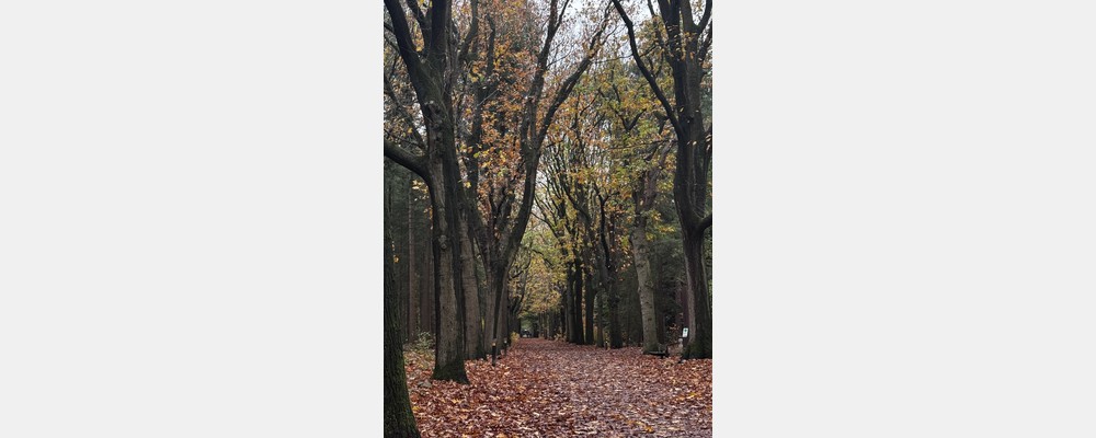 Image from Tilburg University