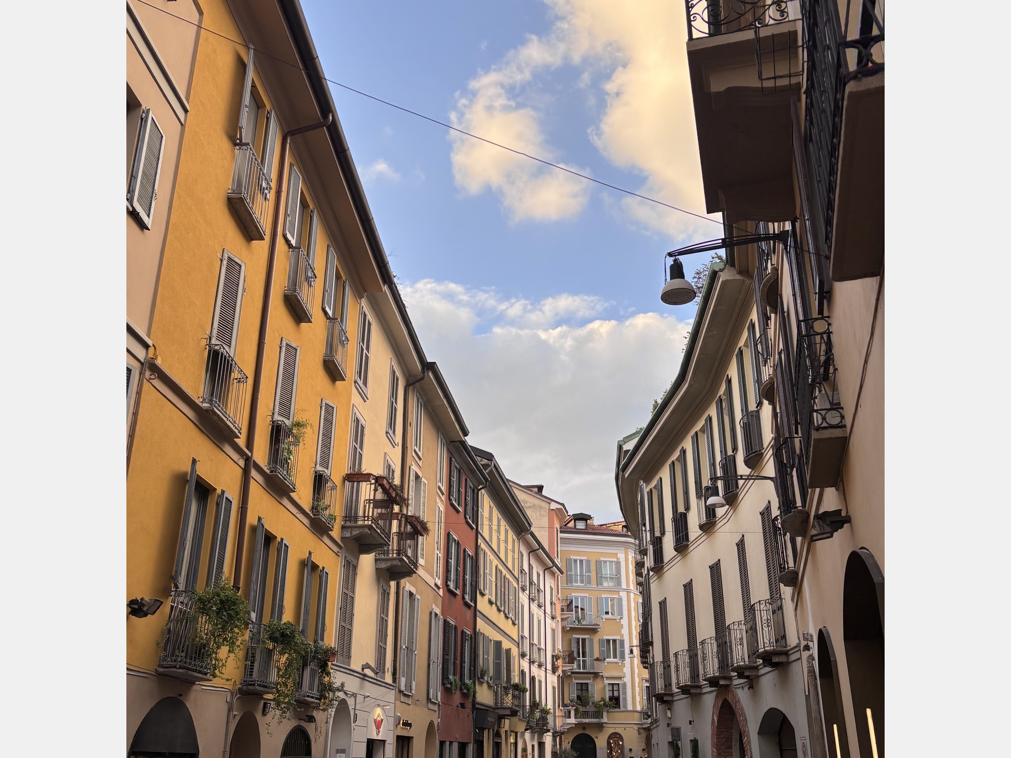 Image from Università Commerciale Luigi Bocconi
