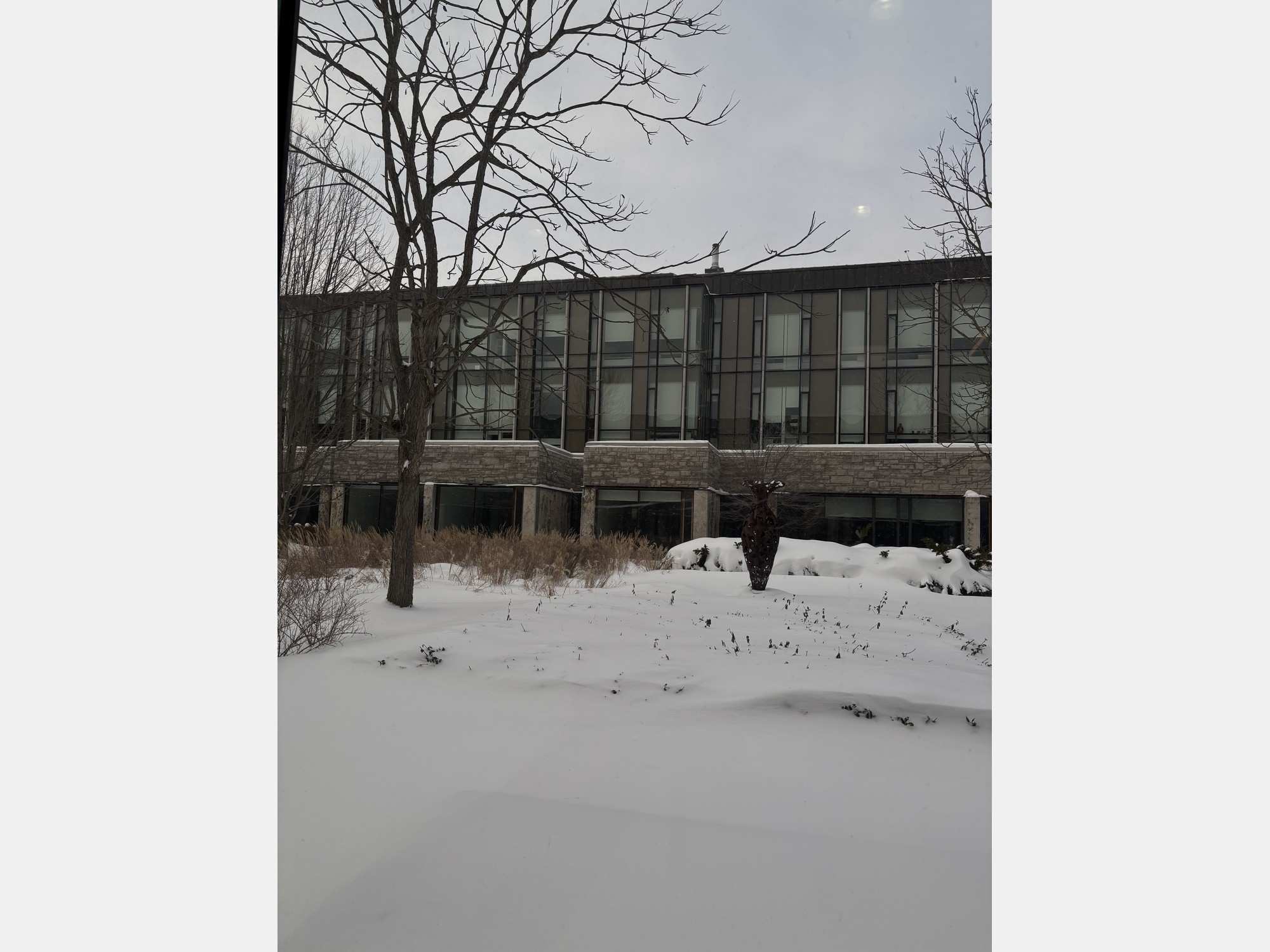 Image from Western University