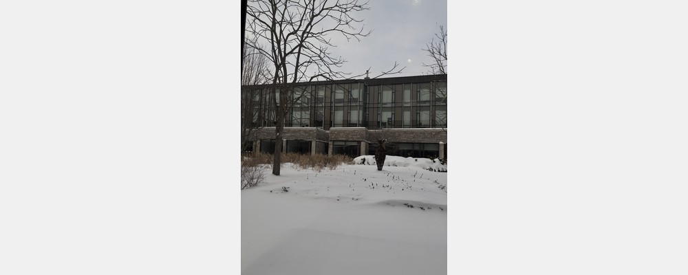 Image from Western University