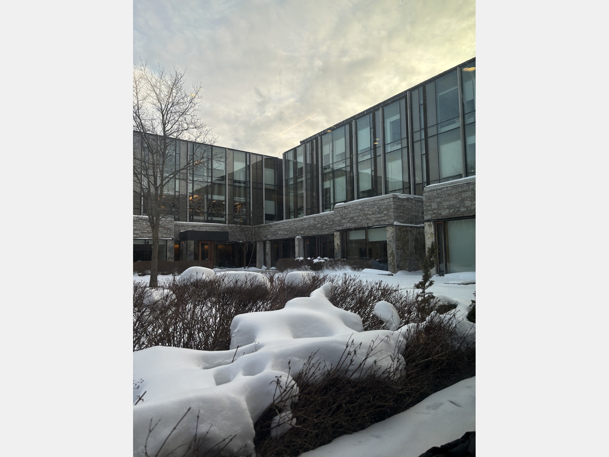 Image from Western University