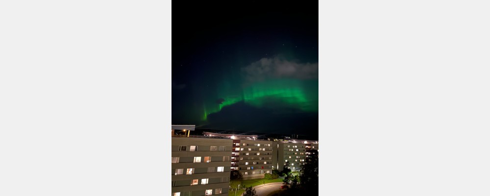 Image from Uppsala University