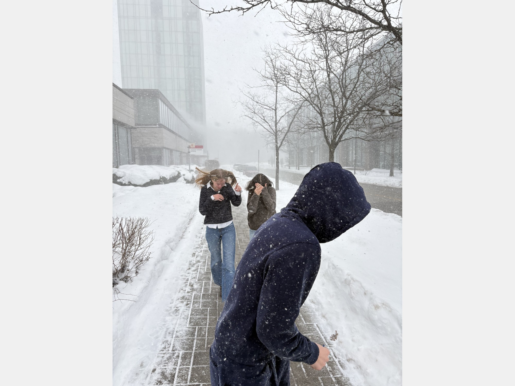 Image from York University