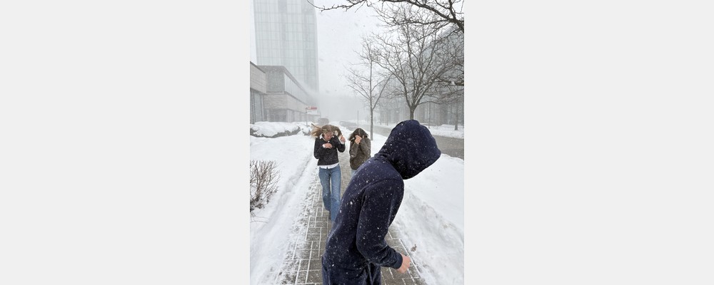 Image from York University