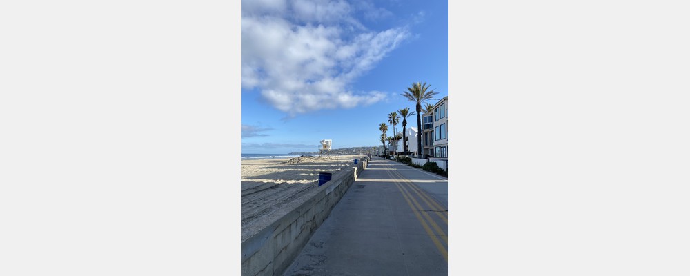 Image from San Diego State University