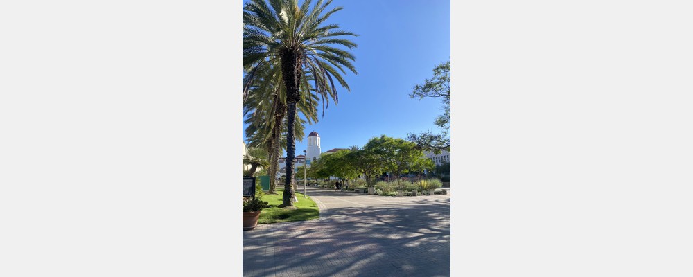 Image from San Diego State University