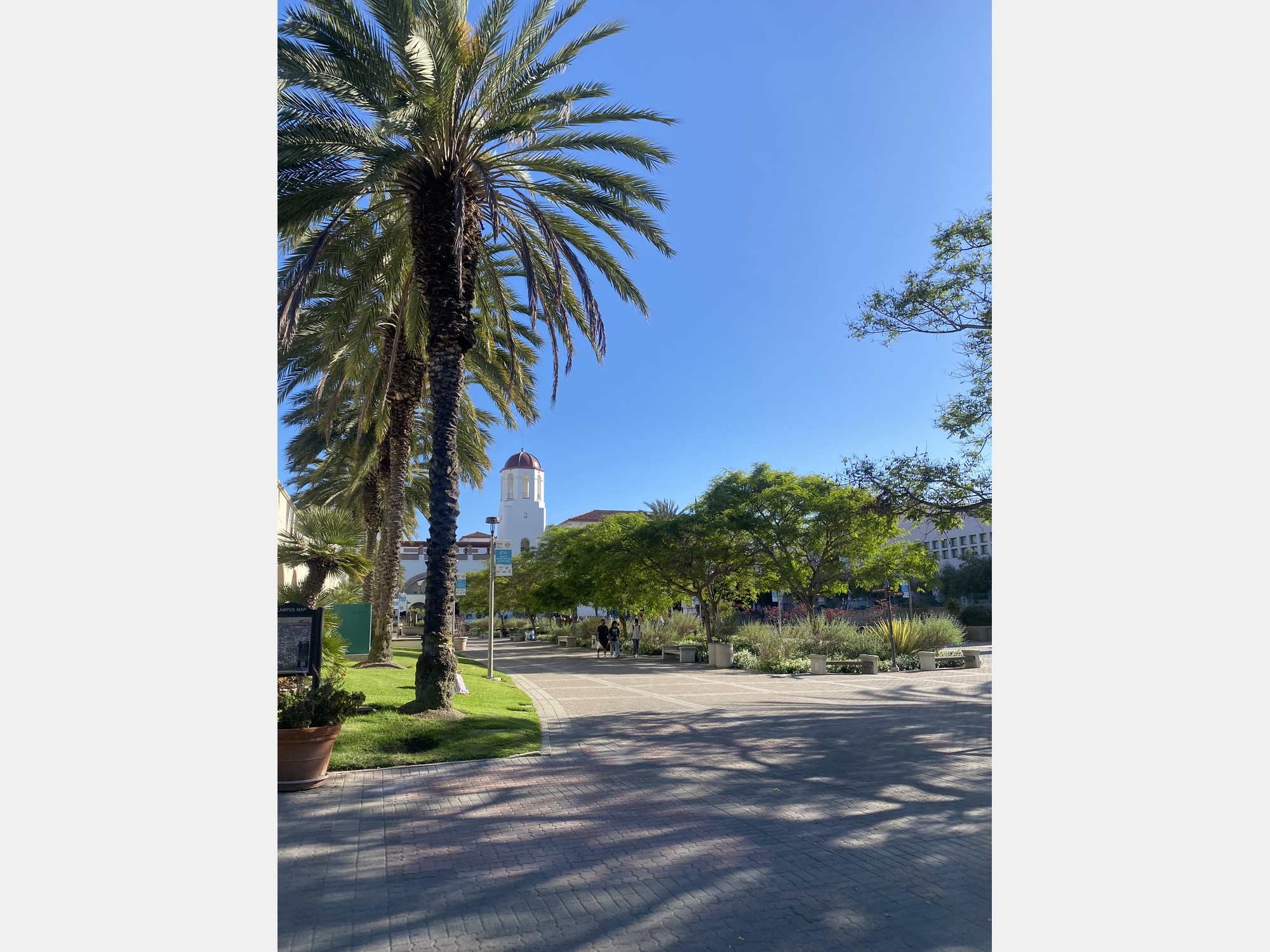 Image from San Diego State University