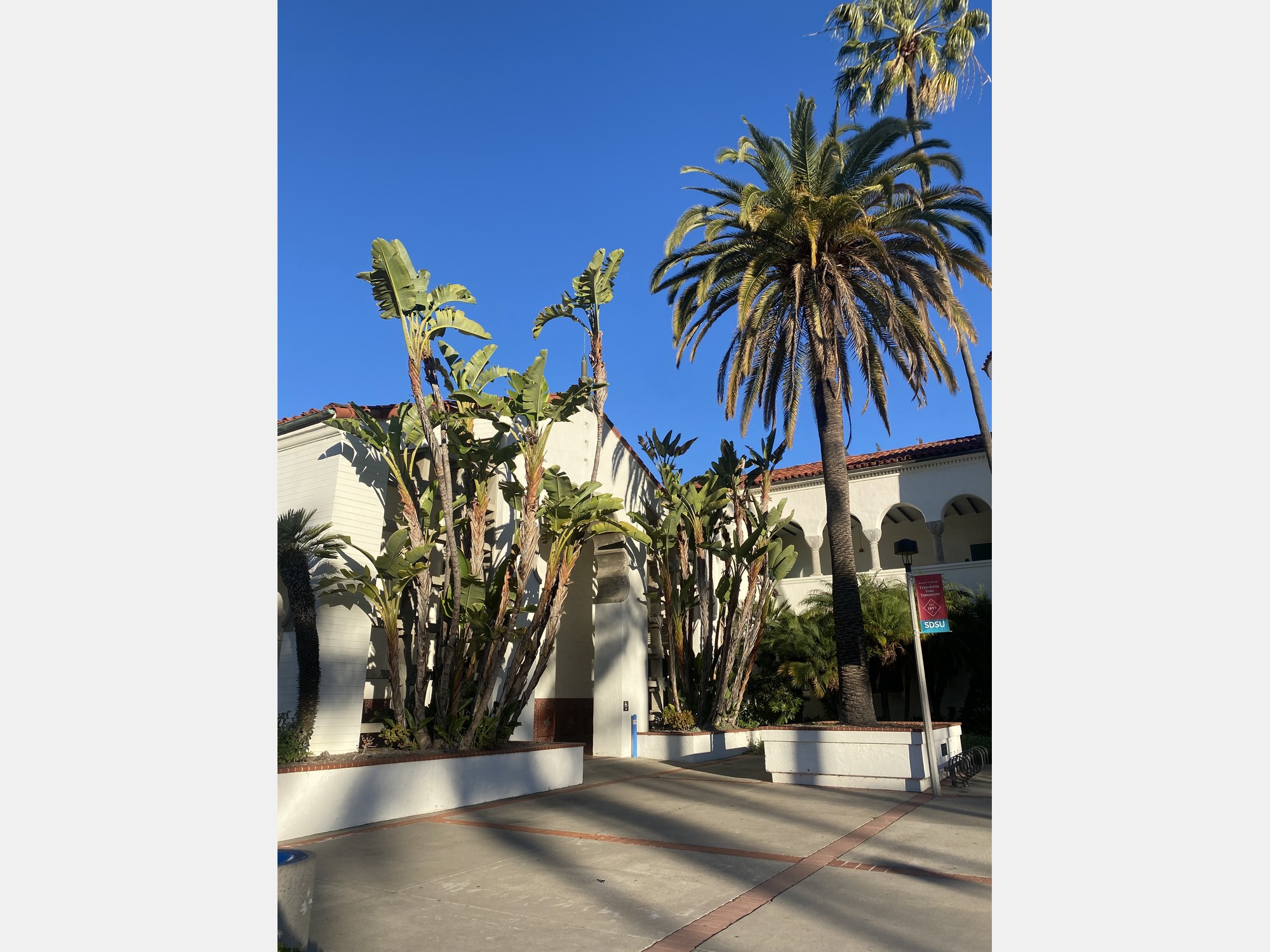 Image from San Diego State University