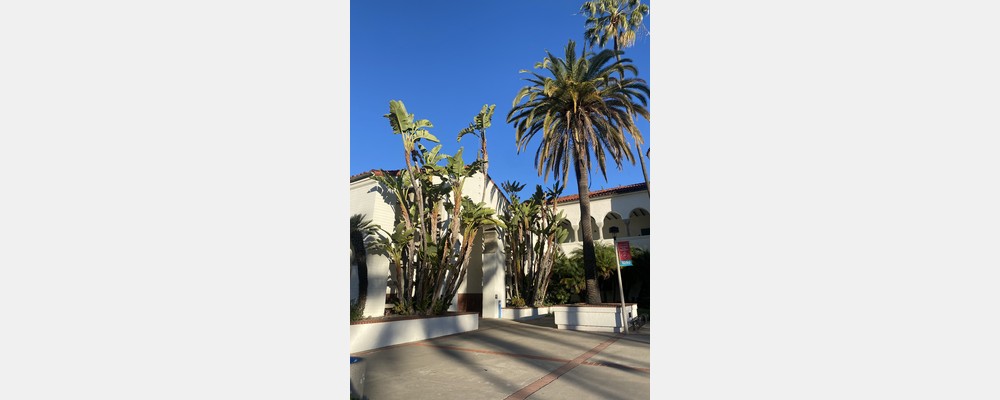 Image from San Diego State University
