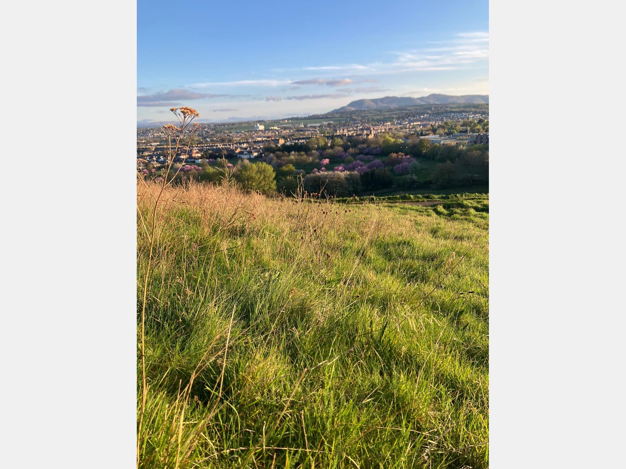 Image from The University of Edinburgh