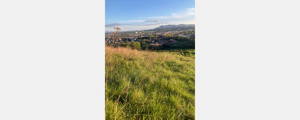 Image from The University of Edinburgh