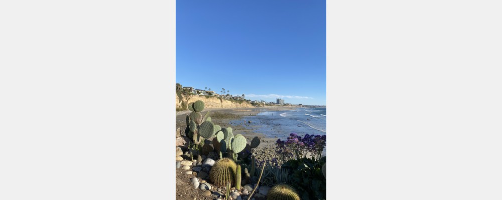 Image from San Diego State University