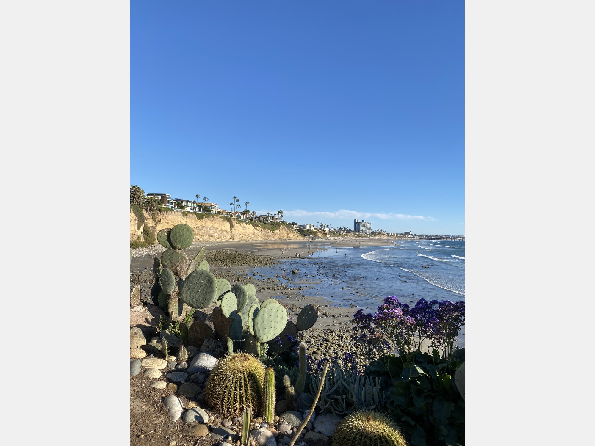 Image from San Diego State University