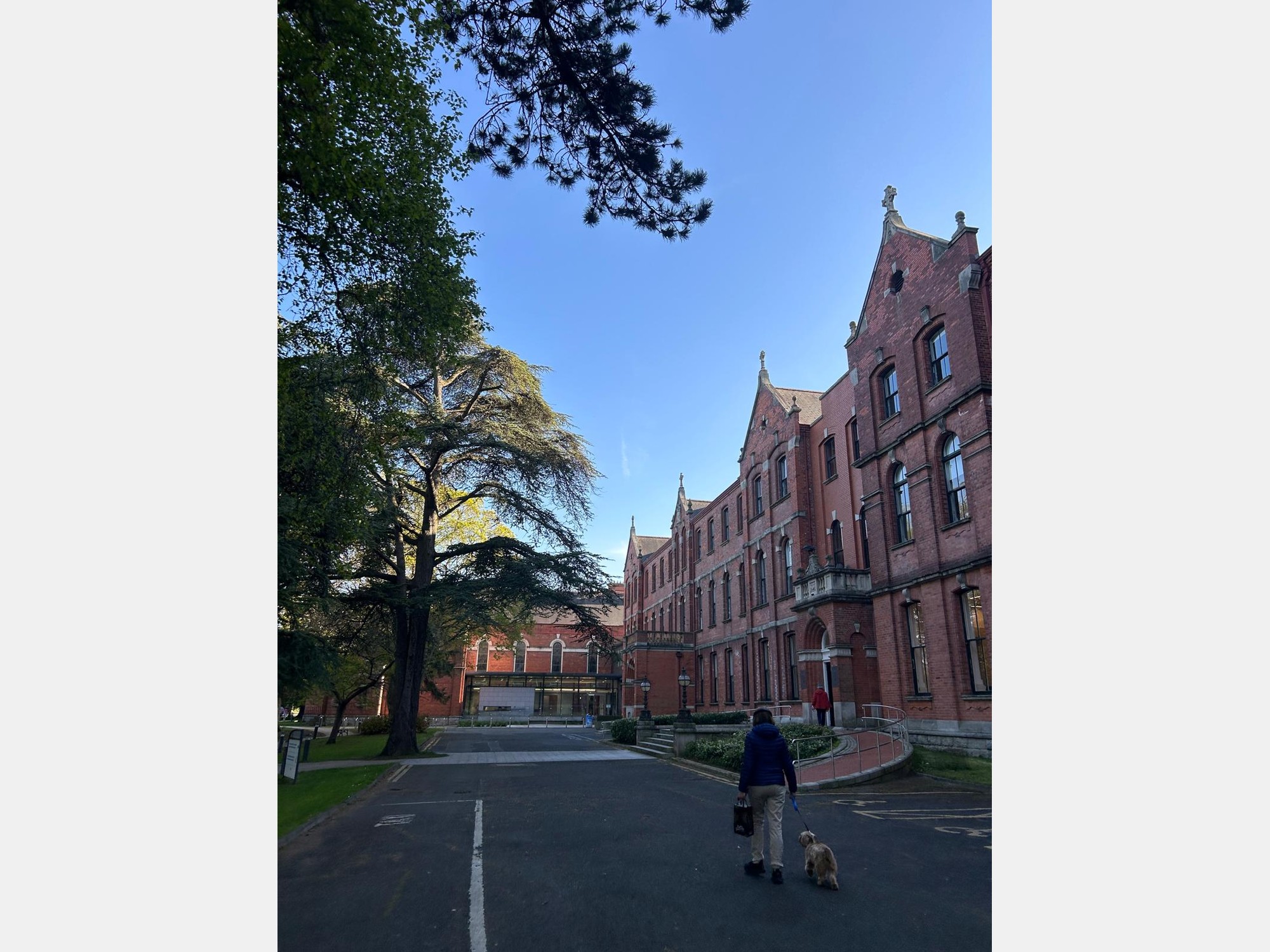 Image from University College Dublin