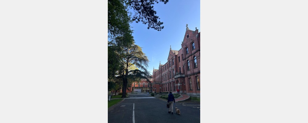 Image from University College Dublin