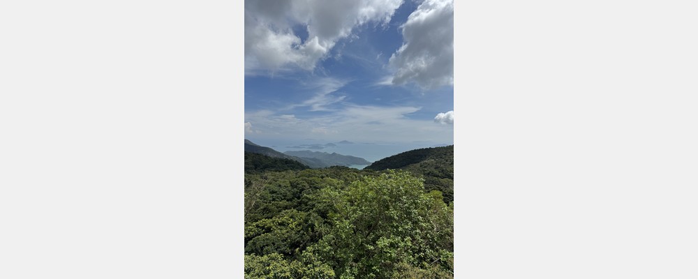 Image from Hong Kong Baptist University