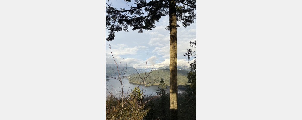 Image from Simon Fraser University
