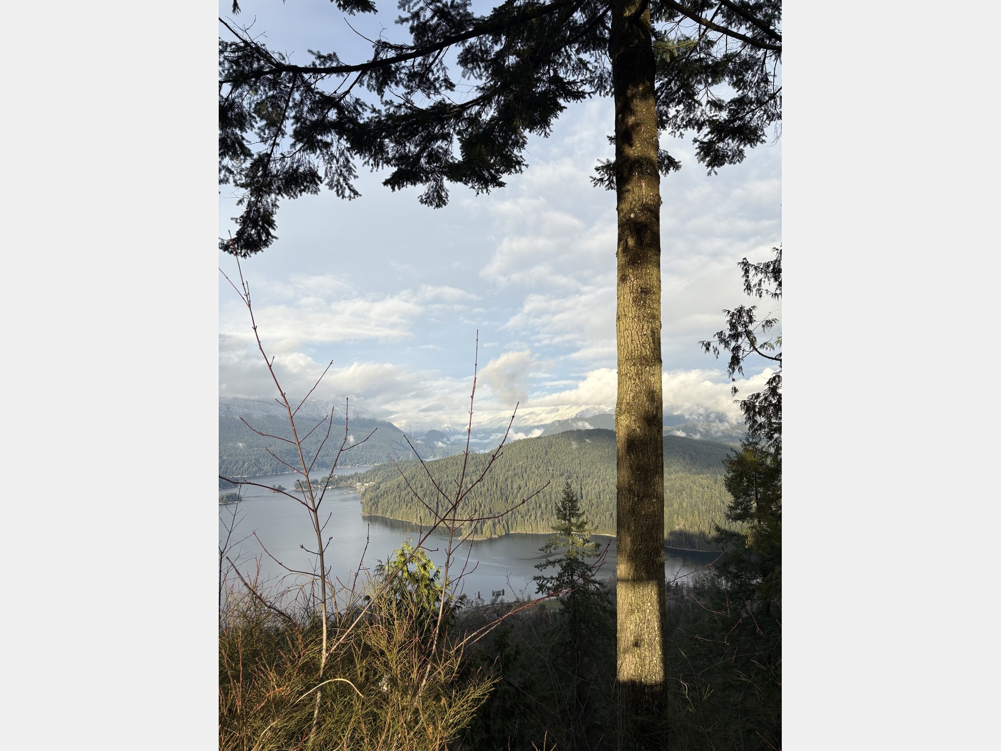 Image from Simon Fraser University