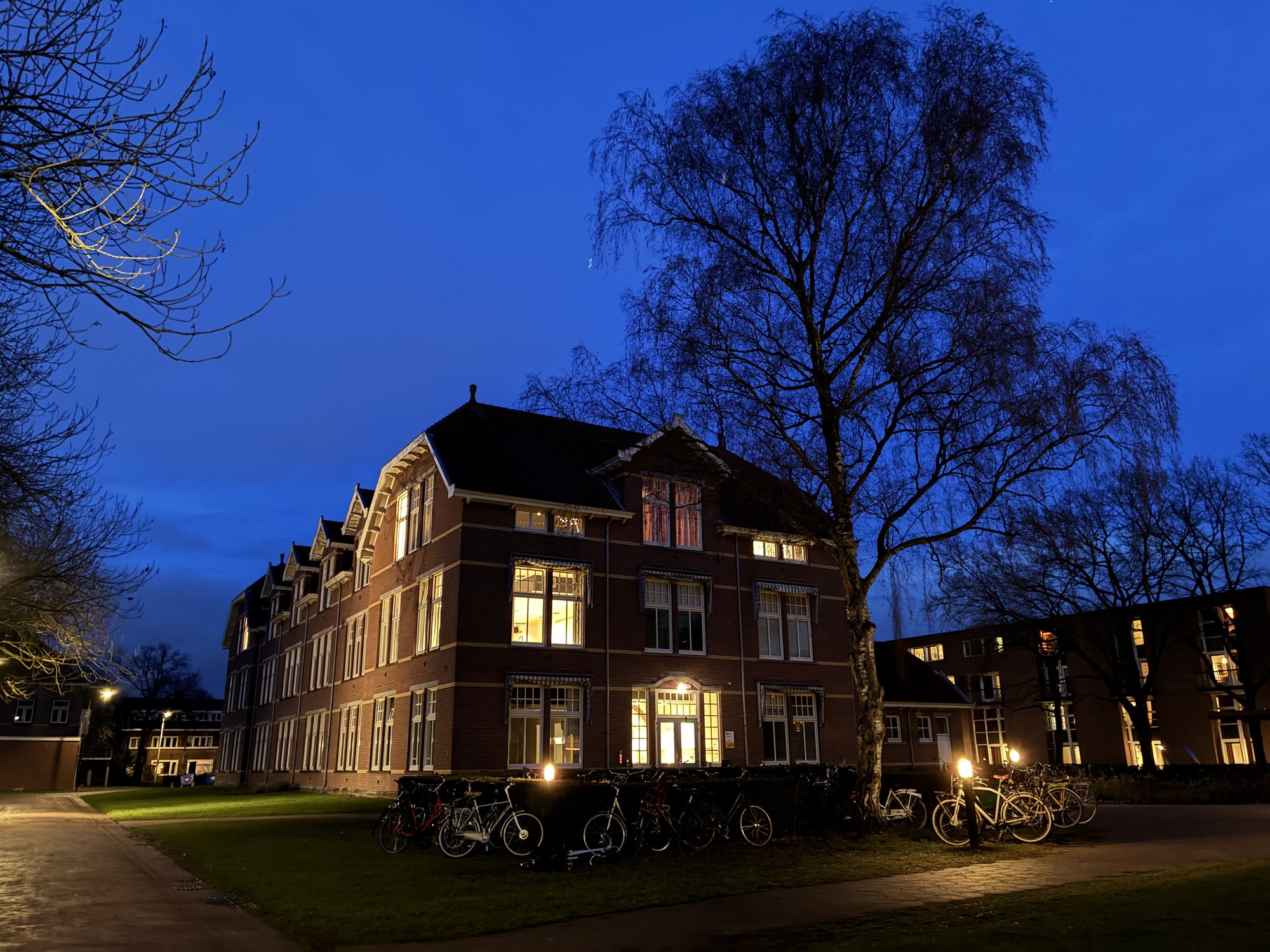 Image from Utrecht University