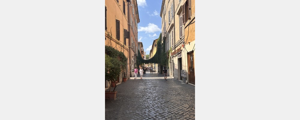 Image from LUISS Guido Carli