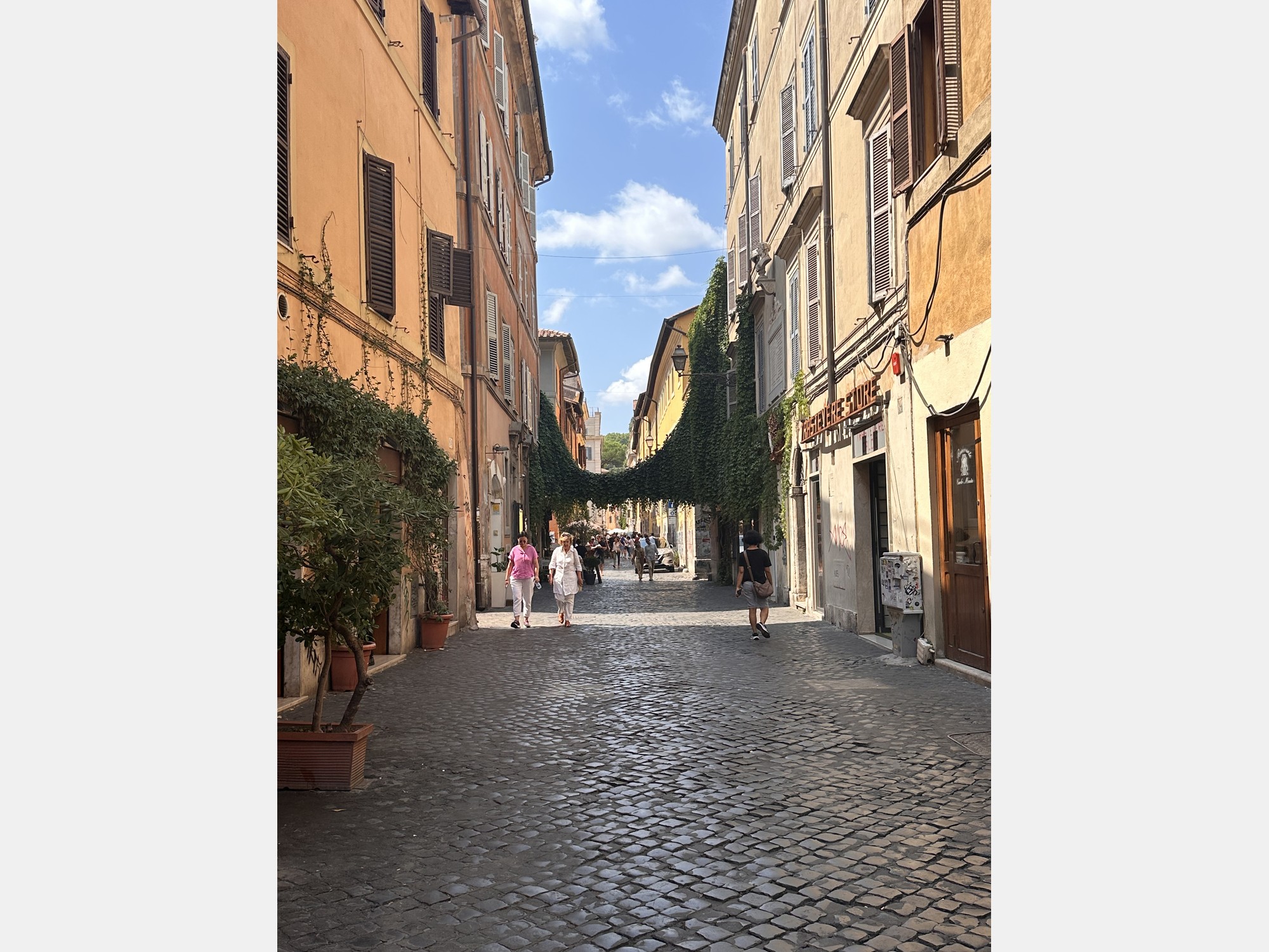 Image from LUISS Guido Carli