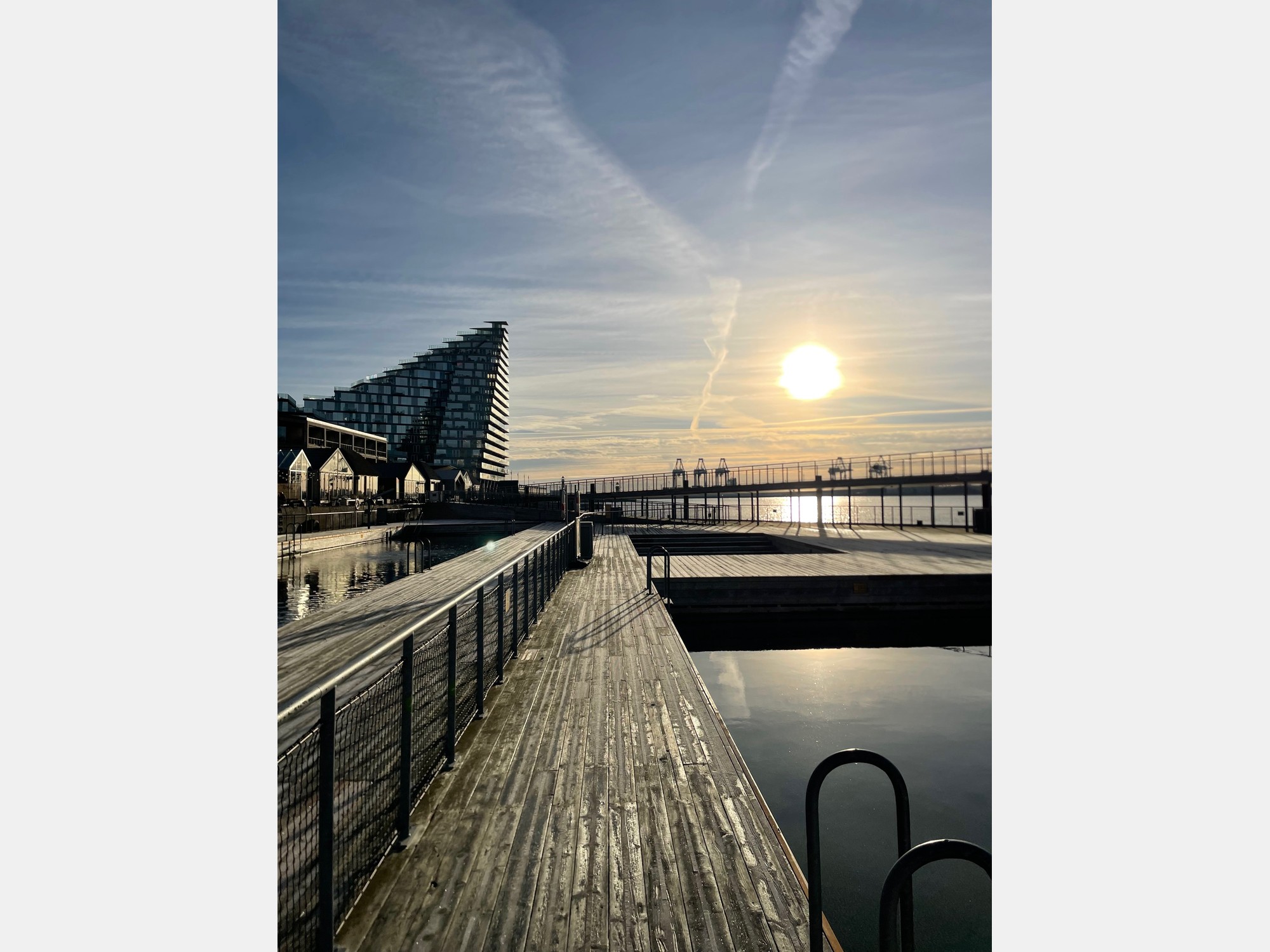 Image from Aarhus University